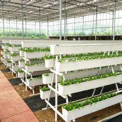 Planting Trough